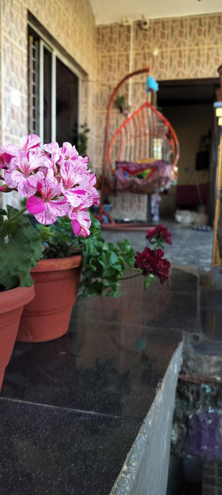Royal Palm Homestay Madikeri Exterior photo