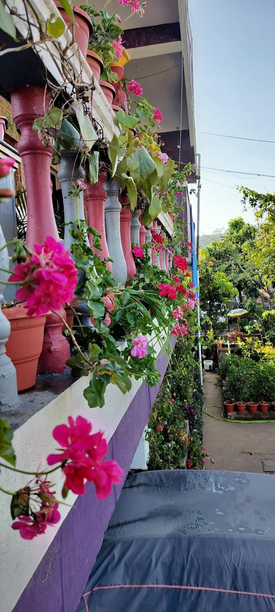 Royal Palm Homestay Madikeri Exterior photo