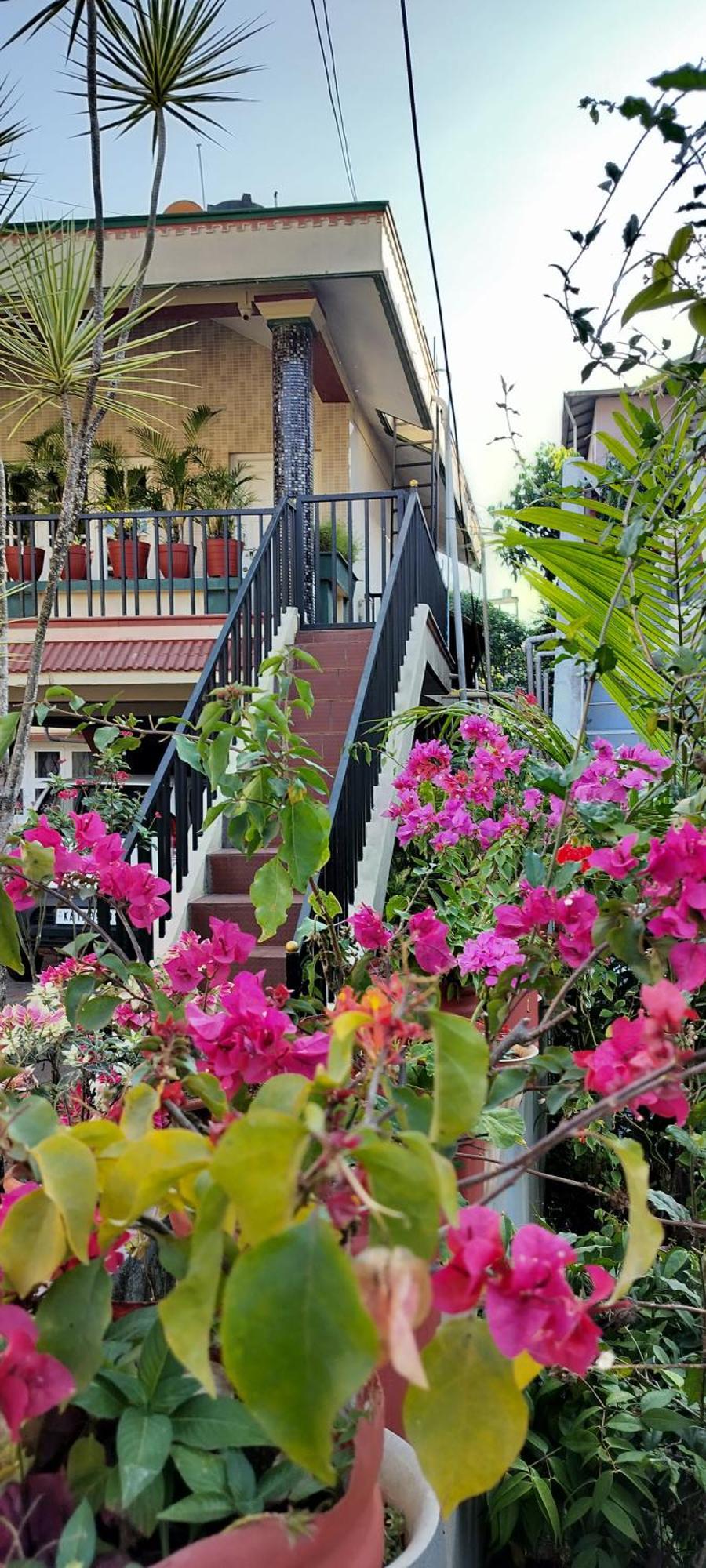 Royal Palm Homestay Madikeri Exterior photo